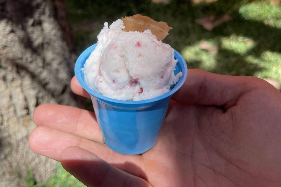 Variedad de presentaciones