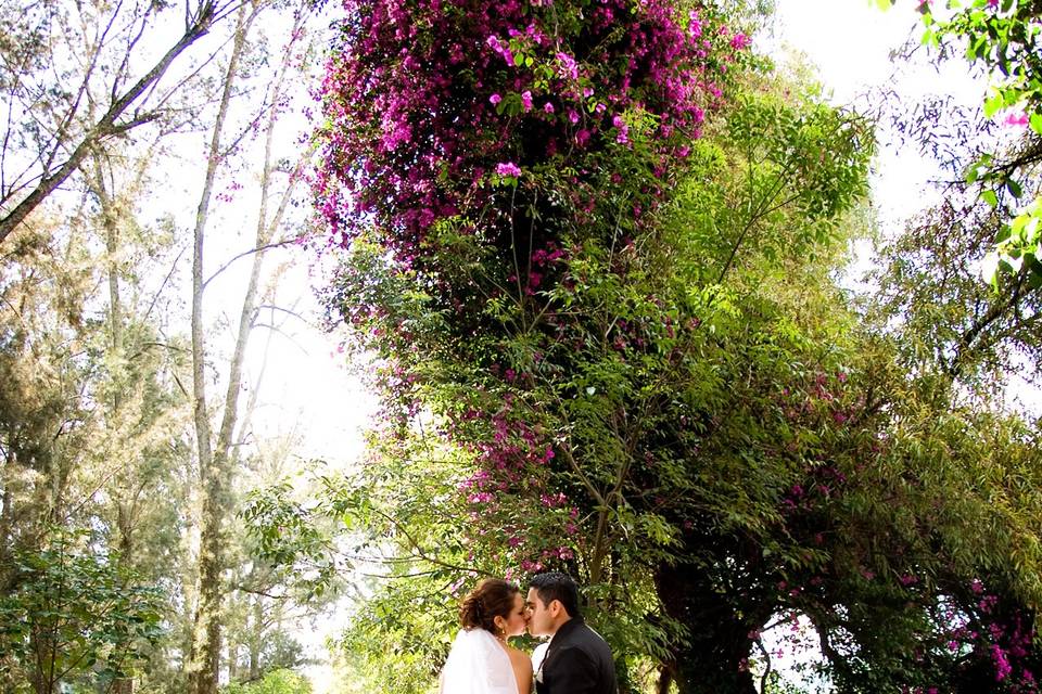 Trash the dress, Camecuaro