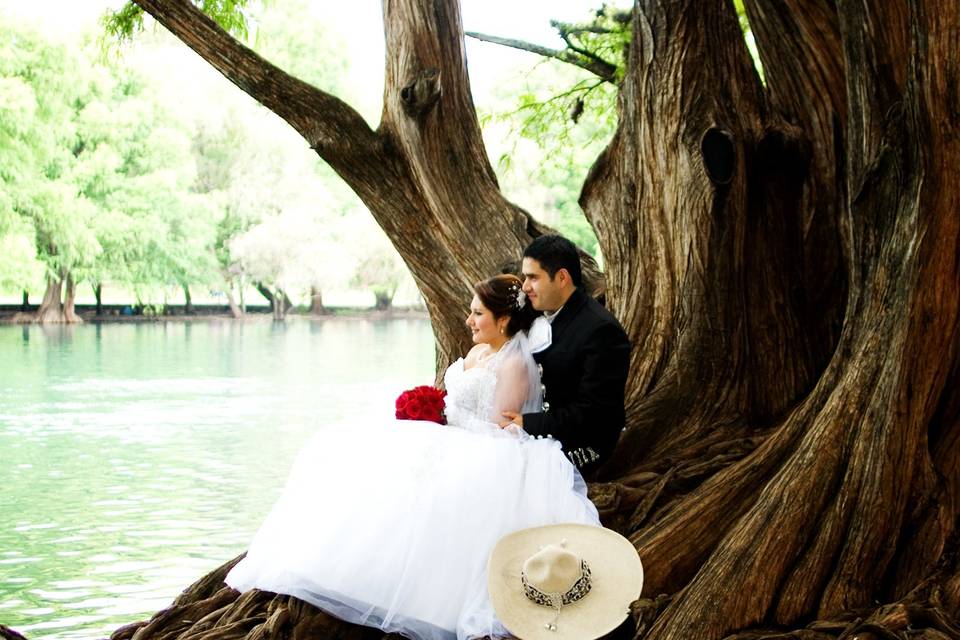 Trash the dress, Camecuaro