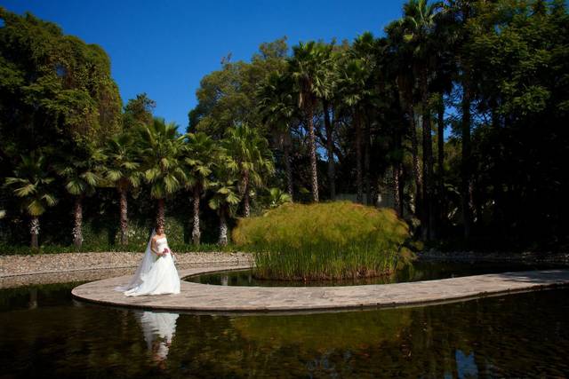 Día de la boda