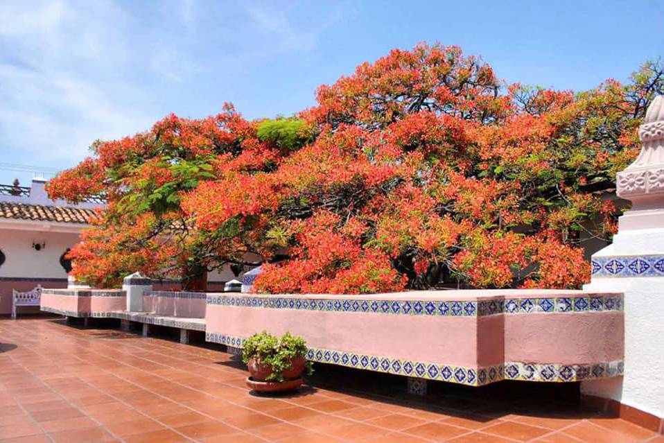 Gran Hotel México