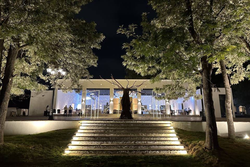 Terraza entre árboles