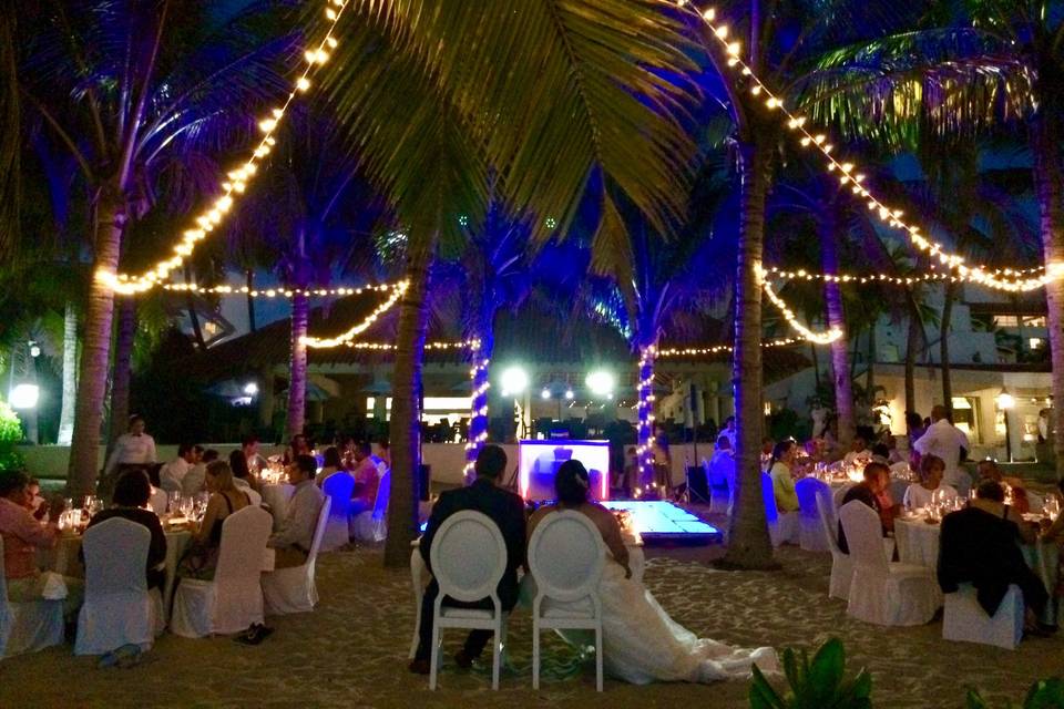 Wedding Dj Vallarta