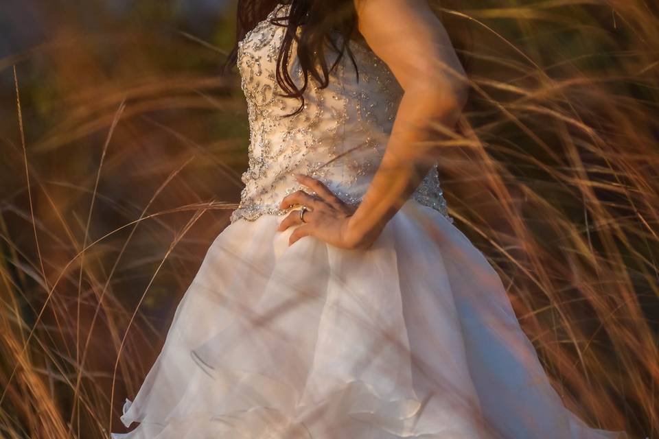 Trash the dress