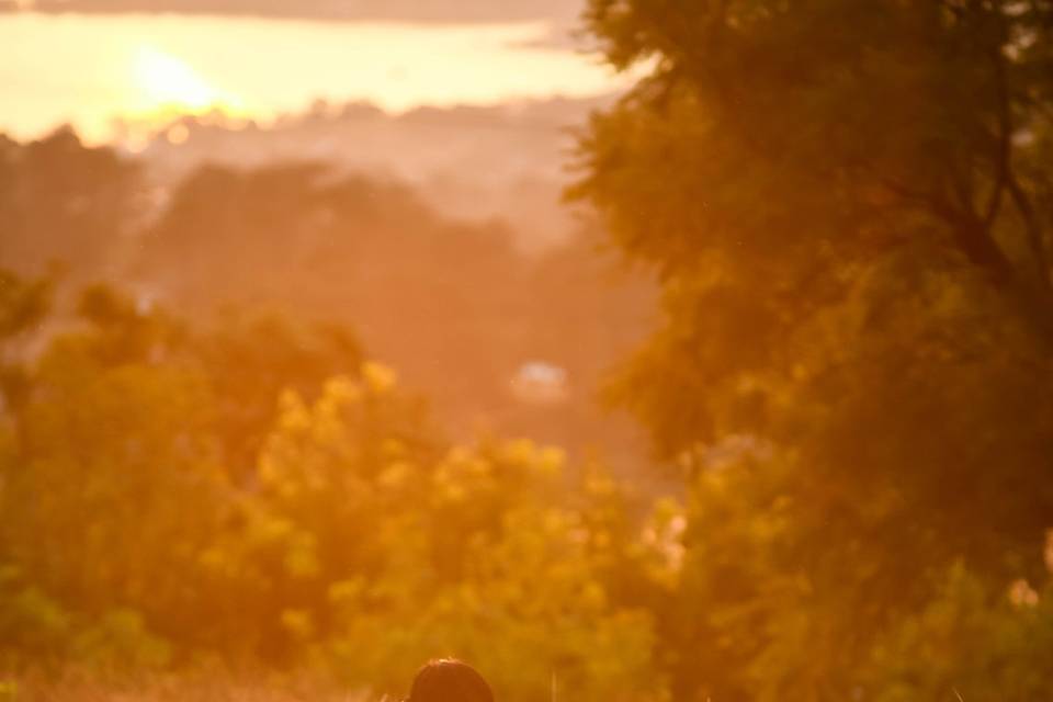 Trash the dress