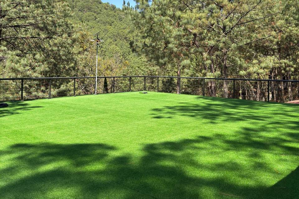 Terraza panorámica a los árboles
