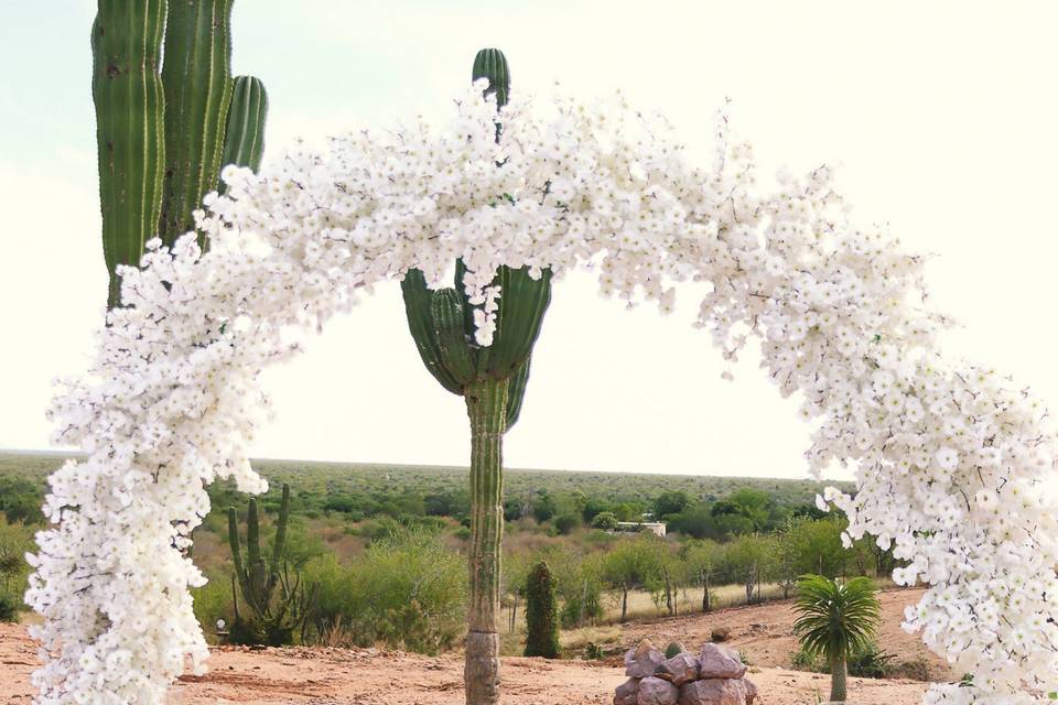 Arco y mesa de novios