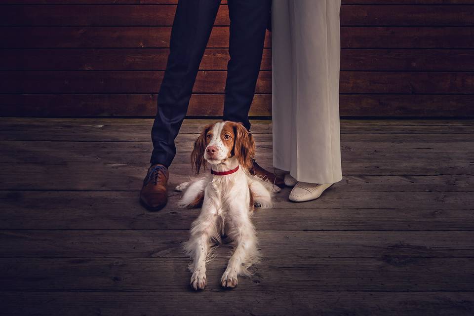 Los novios y su mascota