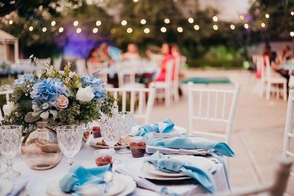 Wedding Planner Ara Ramírez
