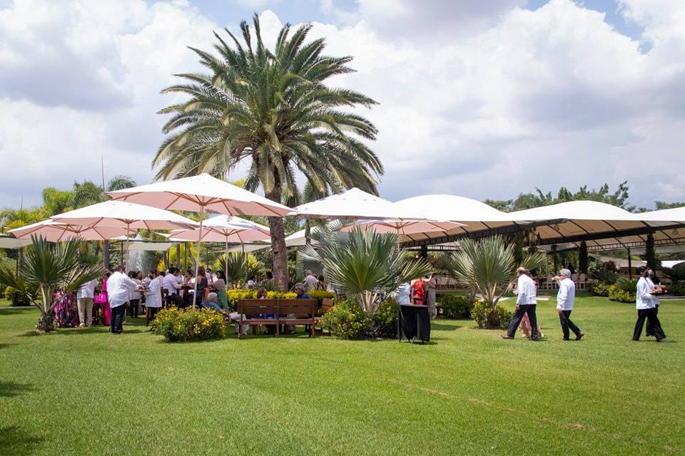 Evento en jardín