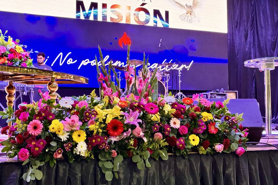 Congreso Anitas