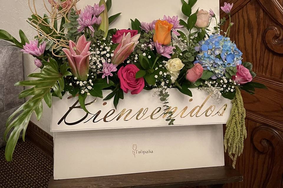 Bienvenida