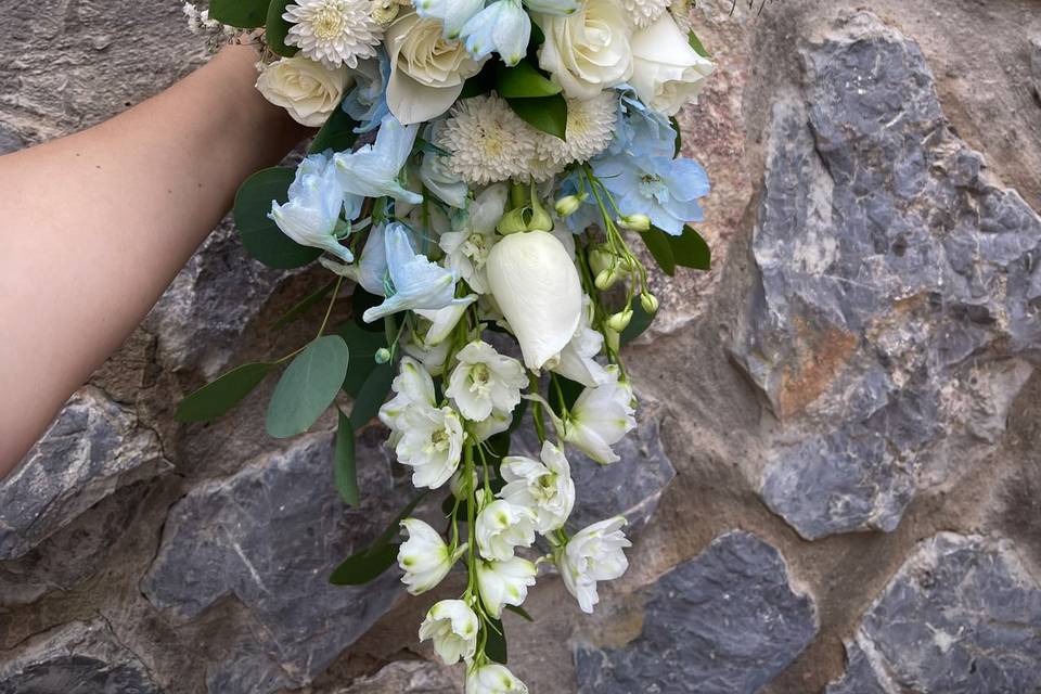 Ramo boda