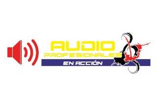 Audio Profesionales en Acción