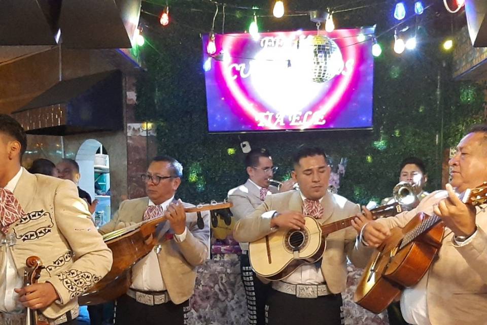 Mariachi