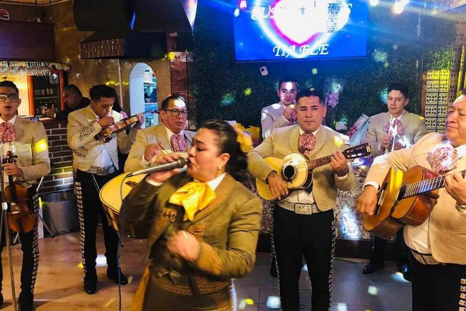 Mi Mariachi