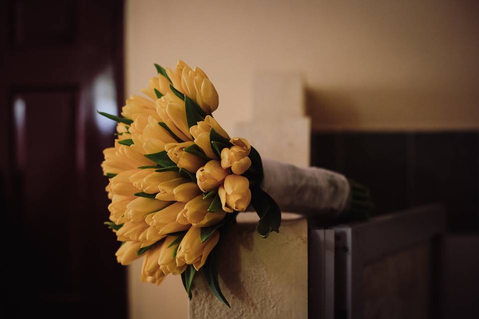 Fotógrafo de Bodas Ixtapa