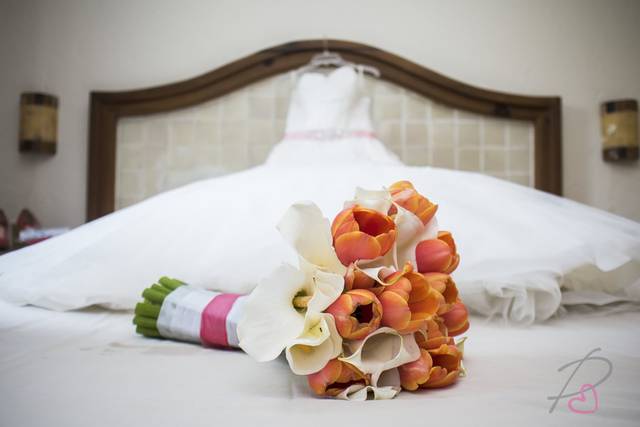 Fotografía profesional