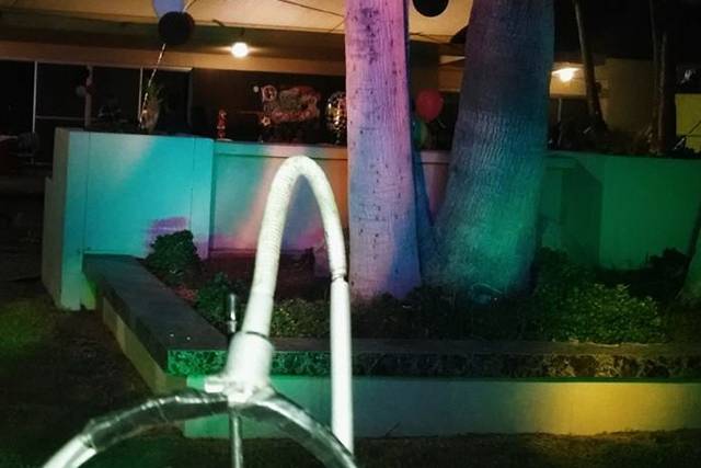 Ofrecemos el mejor servicio