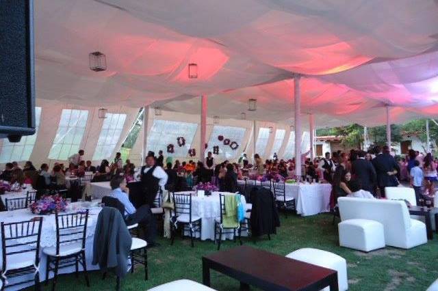 Excelentes eventos