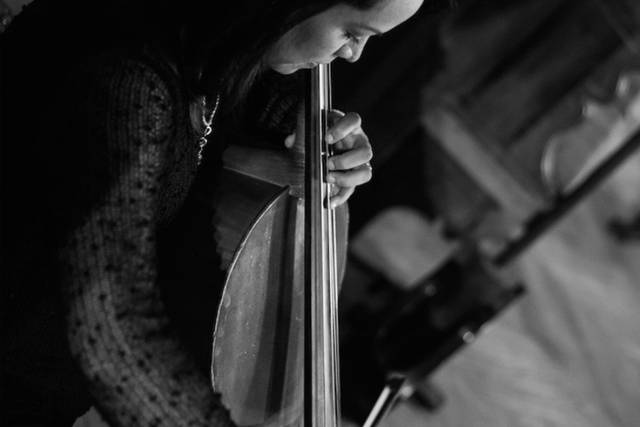 Violoncello