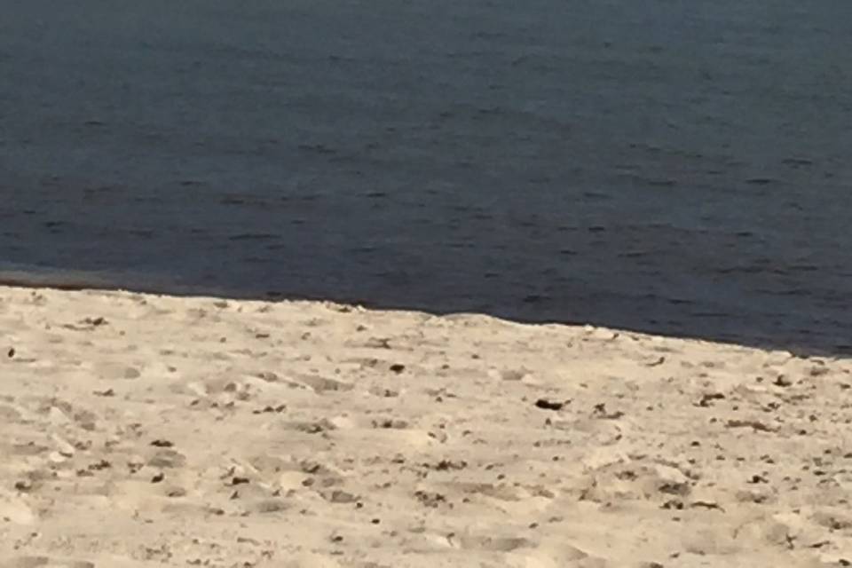 Preparacion para ceremonia