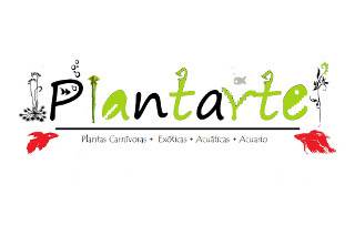 Plantarte