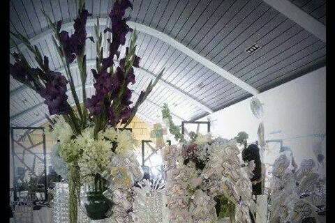 Irt Wedd