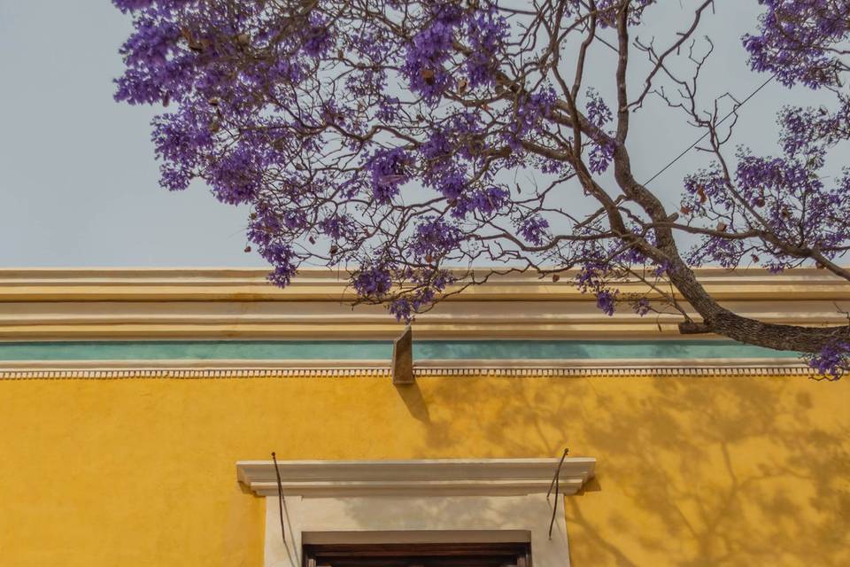 Ex-Hacienda El Lobo Querétaro