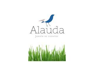 Alauda