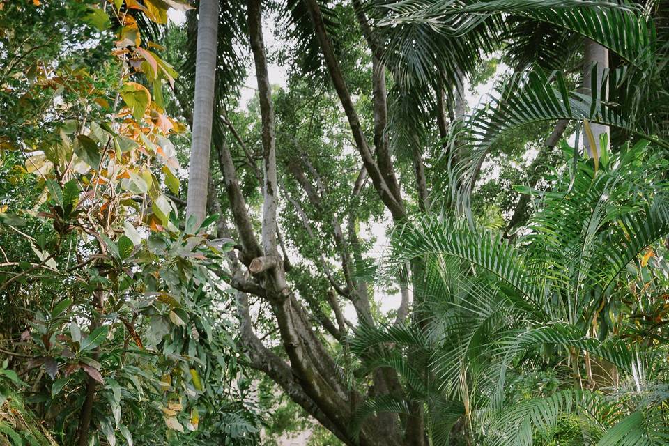 Boda destino en Hacienda