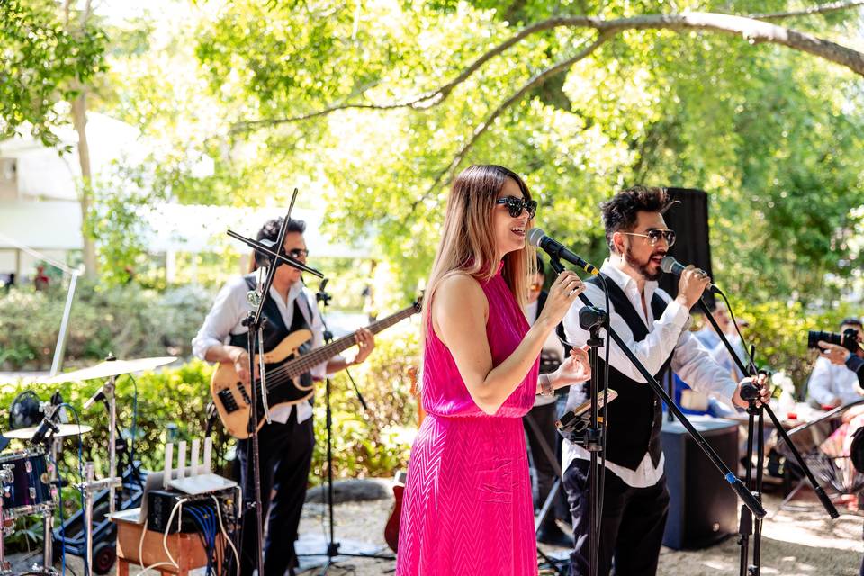 Música en vivo cóctel boda