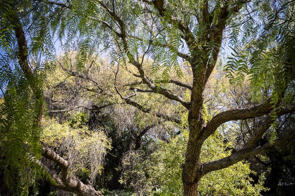 Jardín de bodas La Aldea