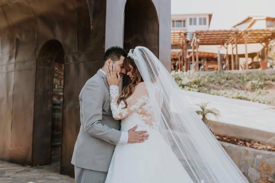 Boda Valle de Guadalupe