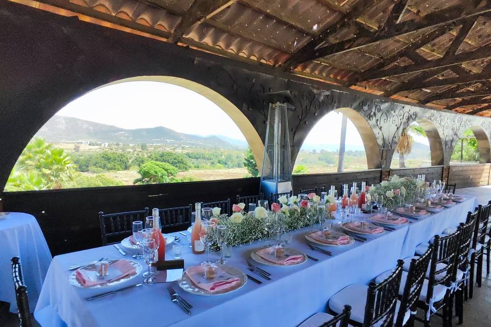 Boda Valle de Guadalupe