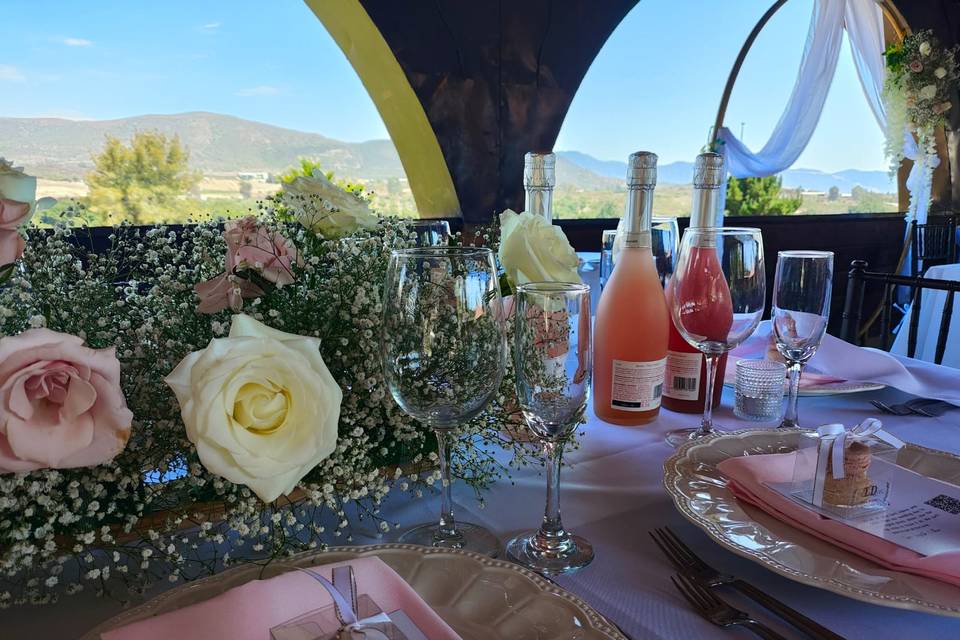 Boda Valle de Guadalupe