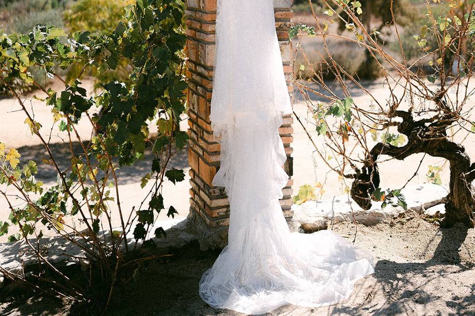 Boda Valle de Guadalupe Selah