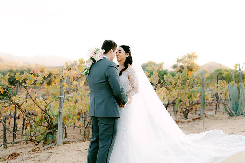 Boda Valle de Guadalupe Selah