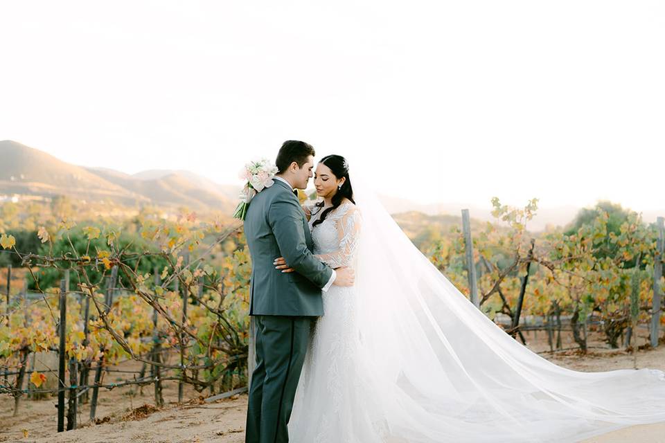 Boda Valle de Guadalupe Selah