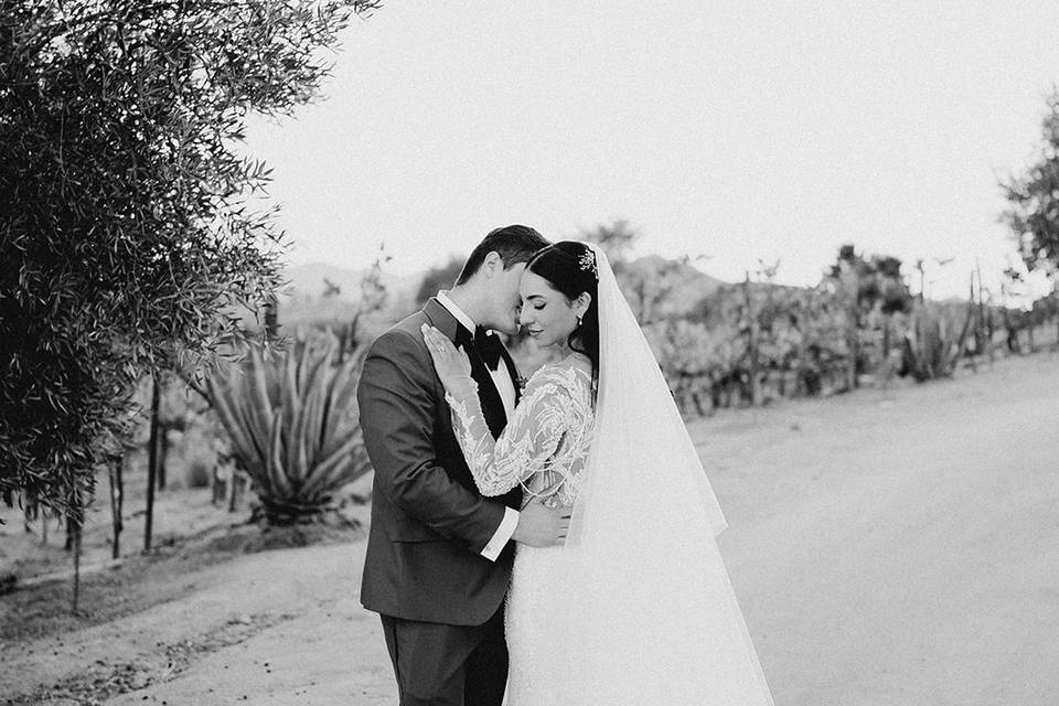 Boda Valle de Guadalupe Selah