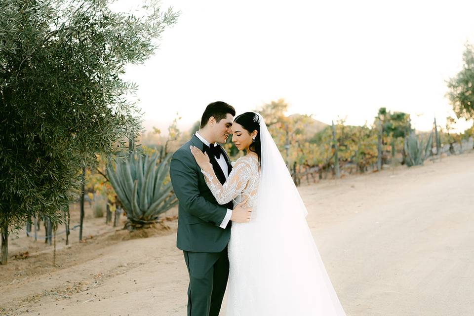 Boda Valle de Guadalupe Selah