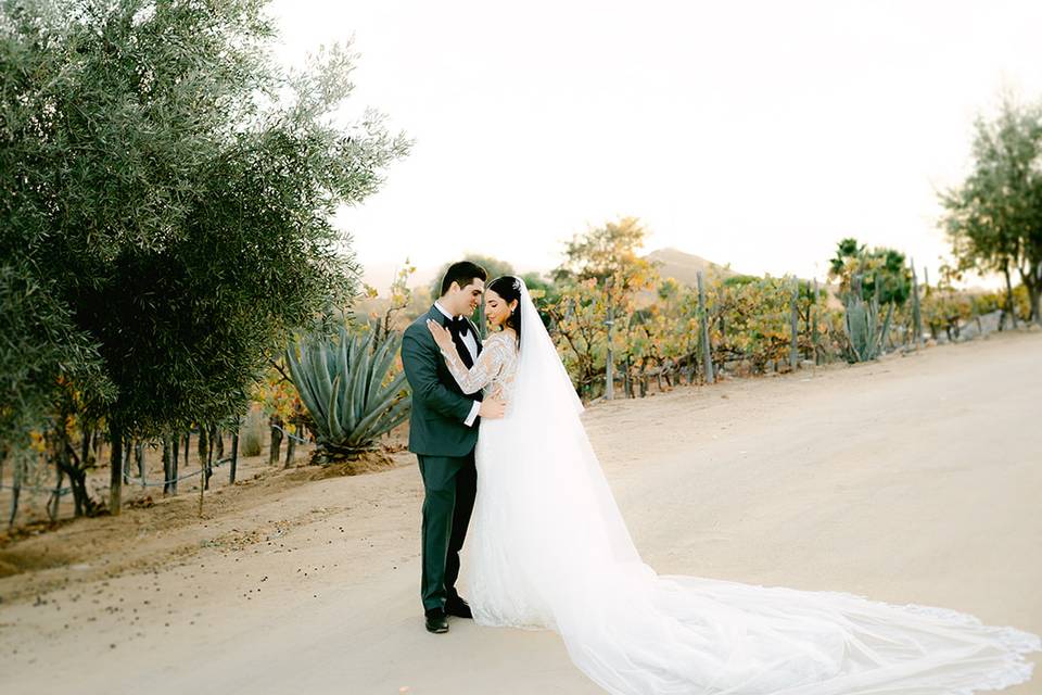 Boda Valle de Guadalupe Selah