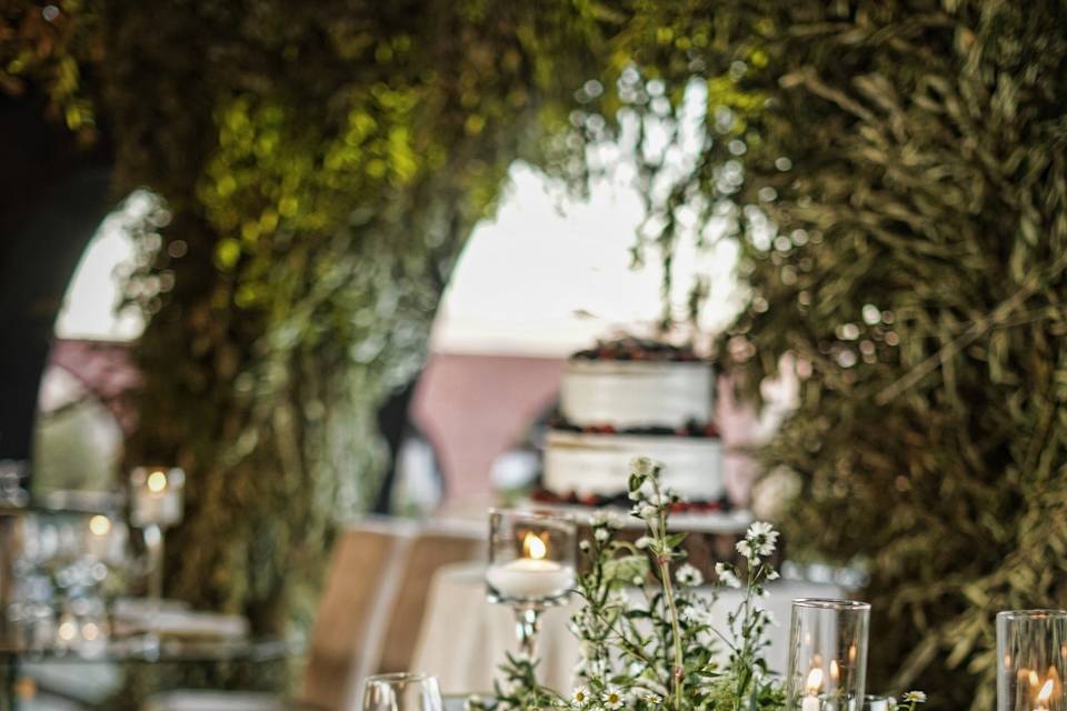 Boda Septiembre 2026 Selah