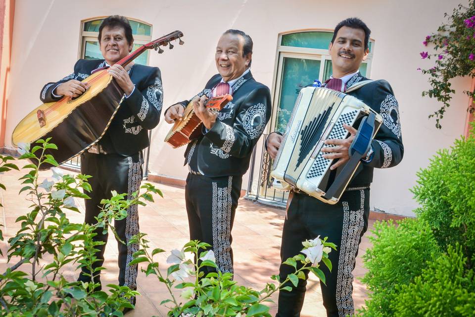 Trimariachi profesional