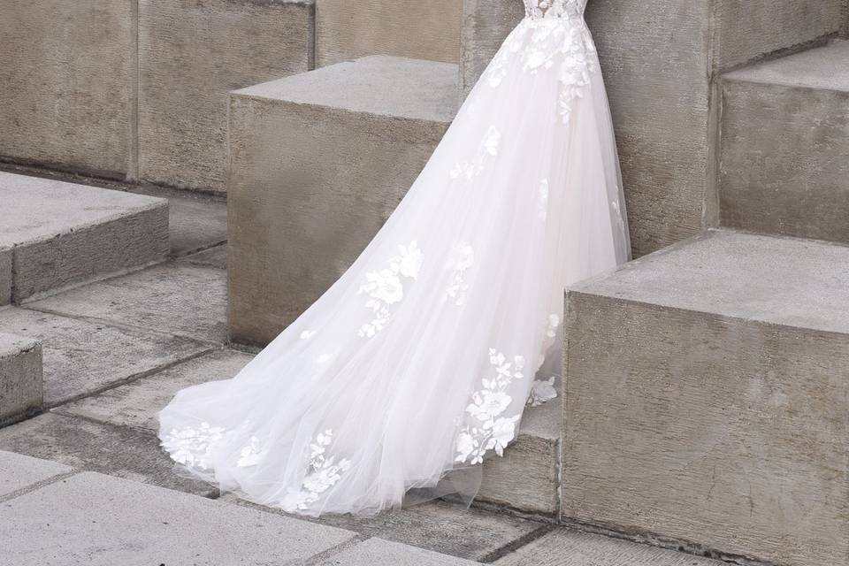 Anelisse