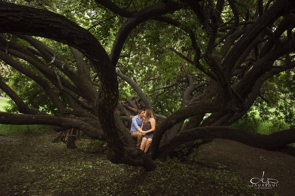 Sesión engagement