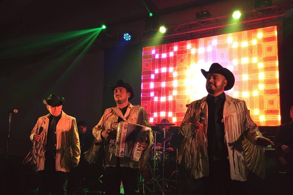 Concepto norteño