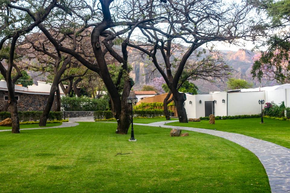 Jardín