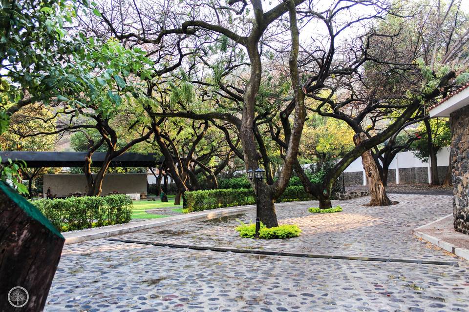 Jardín de eventos