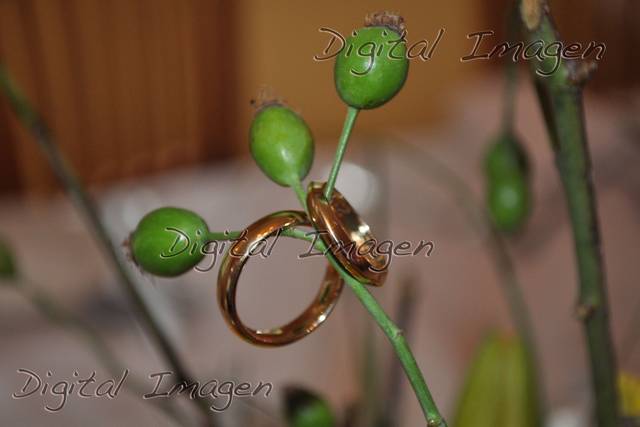 Un paquete diseñado para ti